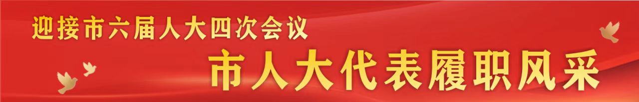 迎接市六届人大四次会议 市人大代表履职风采
