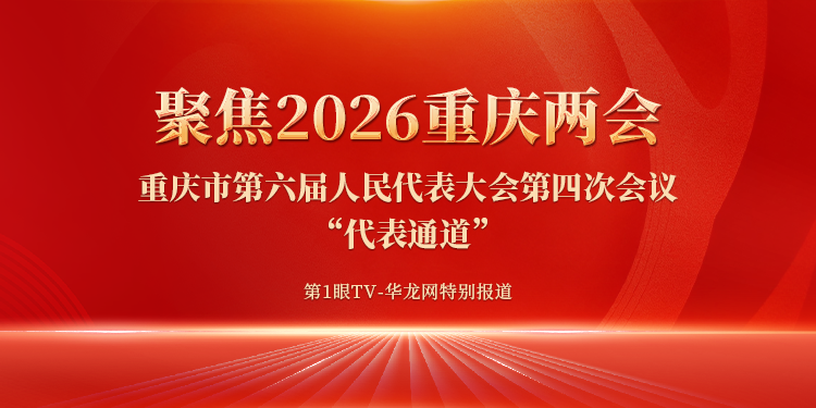 重庆市第六届人民代表大会第四次会议“代表通道”