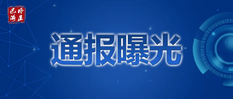 重庆市市级层面整治形式主义为基层减负专项工作机制办公室 中共重庆市纪委办公厅关于整治形式主义为基层减负典型问题的情况通报